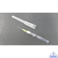 CATHETER INSYTE AUTOGUARD 24GX0.75IN  SHIELDED